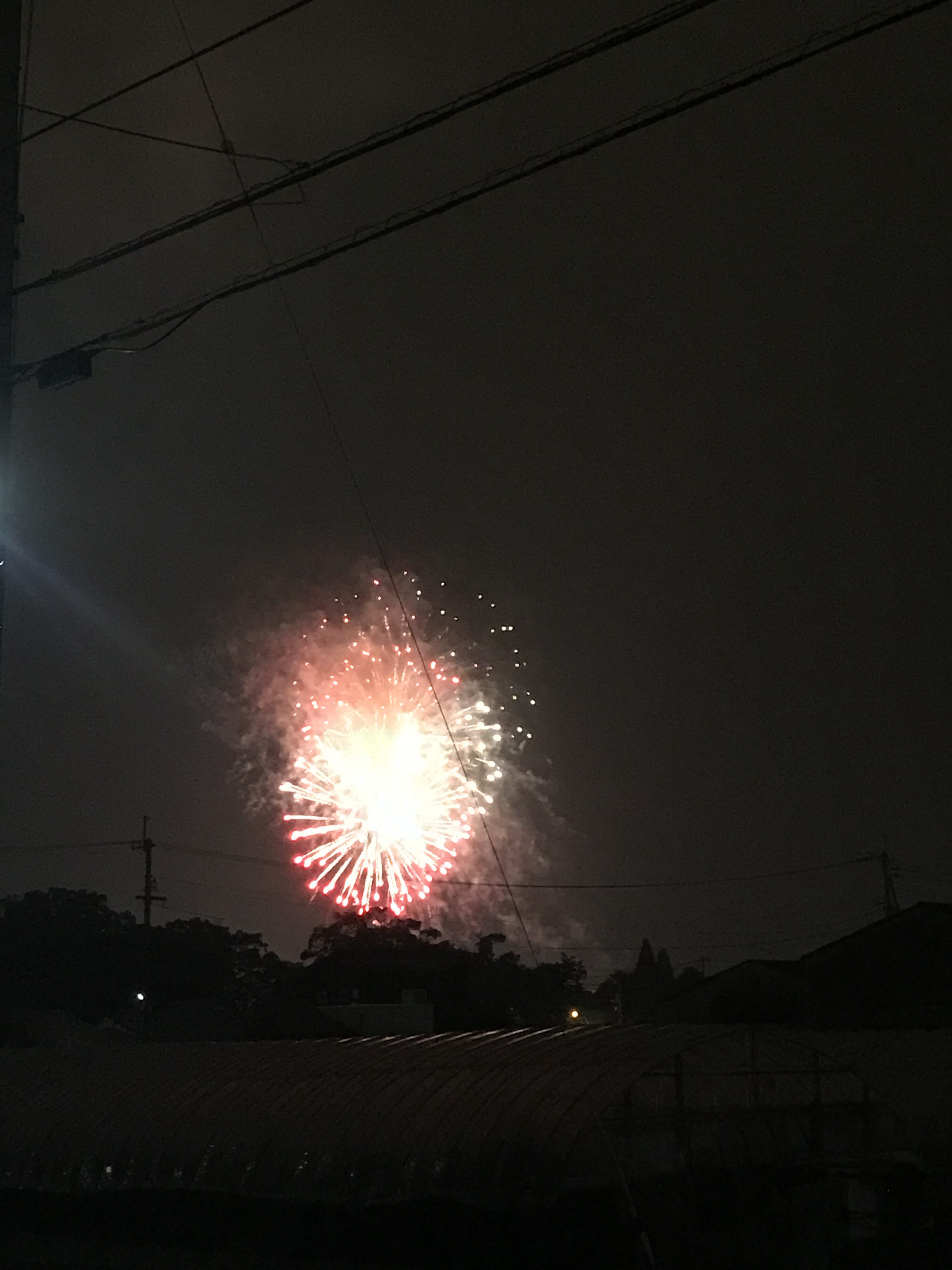 おもてなし不動産 新居浜 花火大会