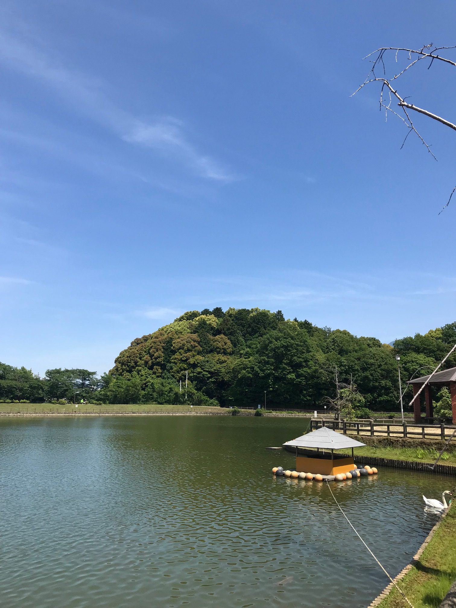 おもてなし不動産 新居浜 賃貸管理 賃貸 休日 滝の宮 公園