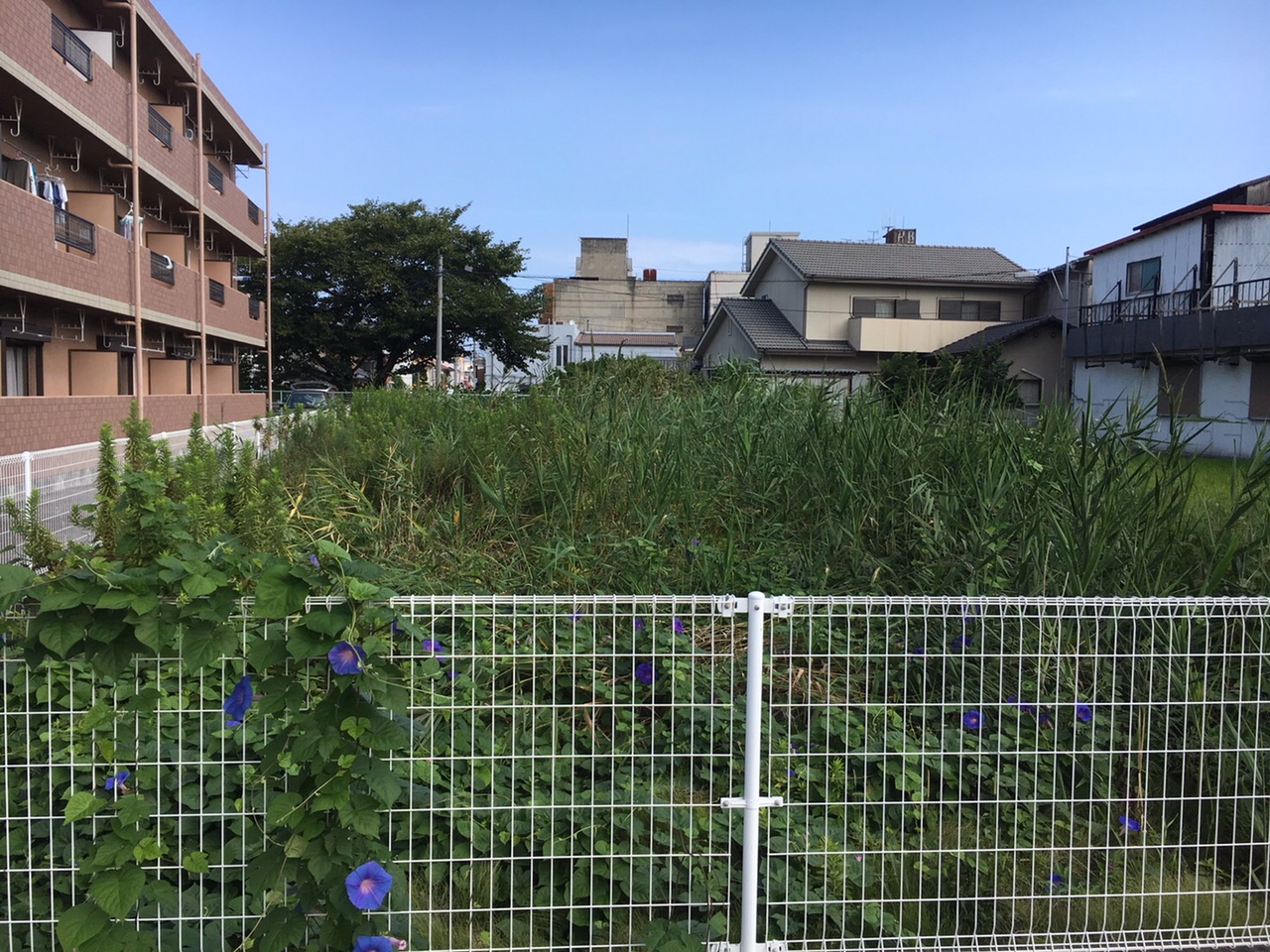 おもてなし不動産 新居浜 賃貸管理 除草 防草 マンション