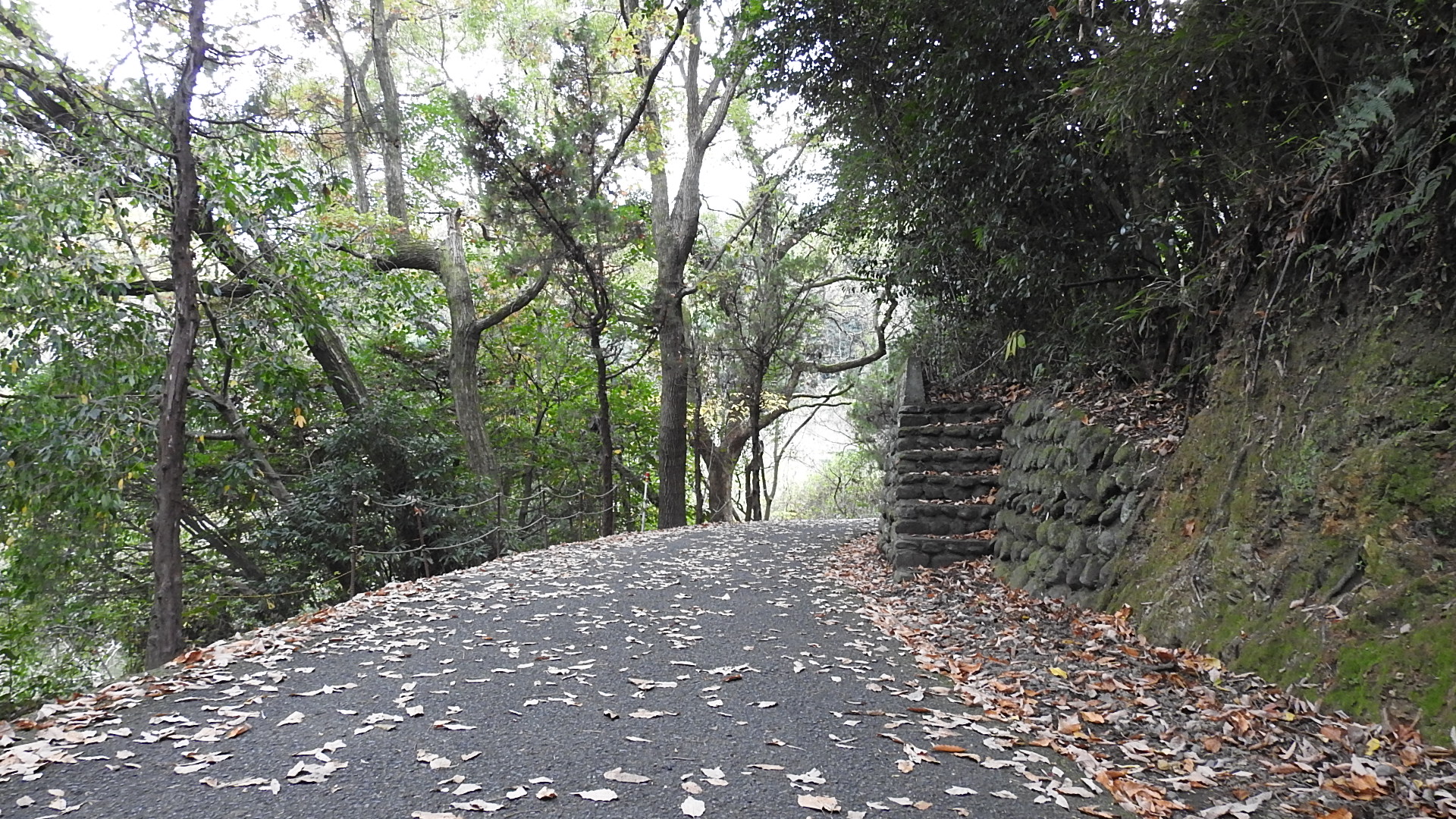 おもてなし不動産 新居浜 賃貸管理 滝宮公園 散歩道