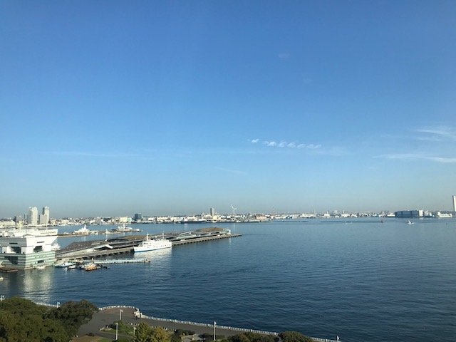 おもてなし不動産 横浜 冬の並木道