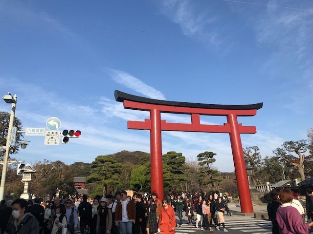 おもてなし不動産 鎌倉 鶴岡八幡宮