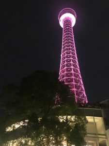 おもてなし不動産 出張 新居浜 横浜 タワー