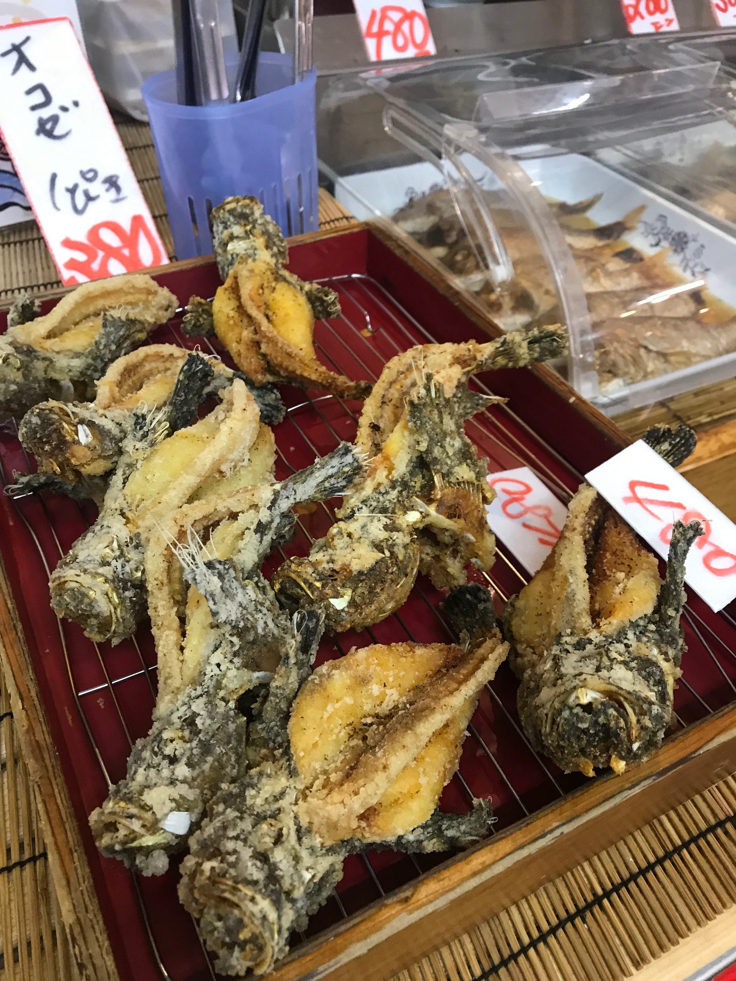 おもてなし不動産 新居浜 賃貸管理 お昼ご飯 マルトモ水産