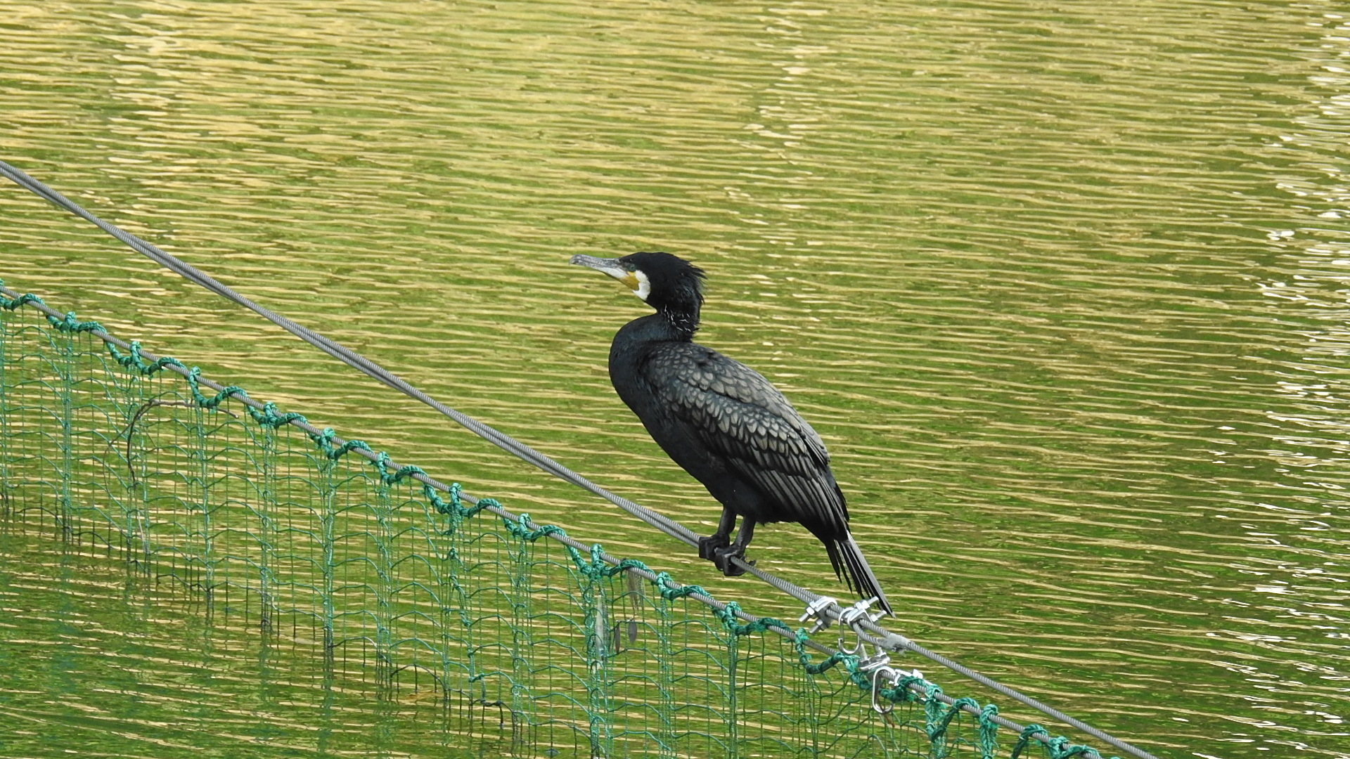 おもてなし不動産 新居浜 賃貸管理 公園 散歩