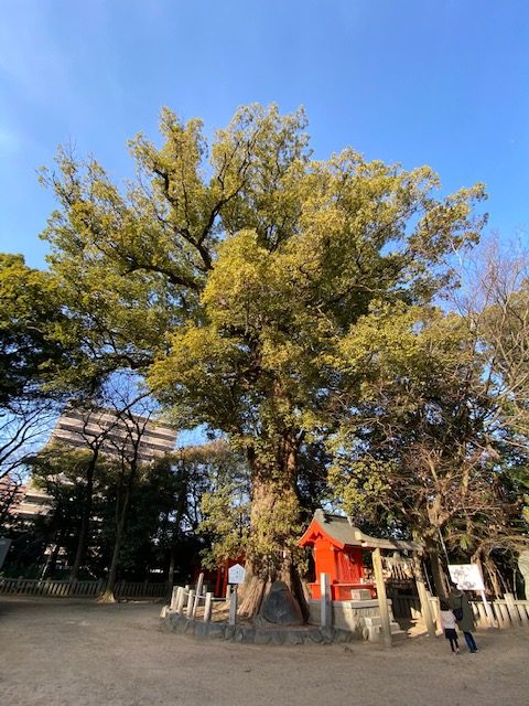 おもてなし不動産 新居浜 賃貸管理 一宮神社 オススメスポット