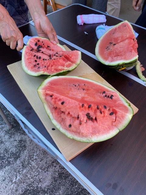 おもてなし不動産 新居浜 賃貸管理 暑い 夏の思い出 スイカ割り