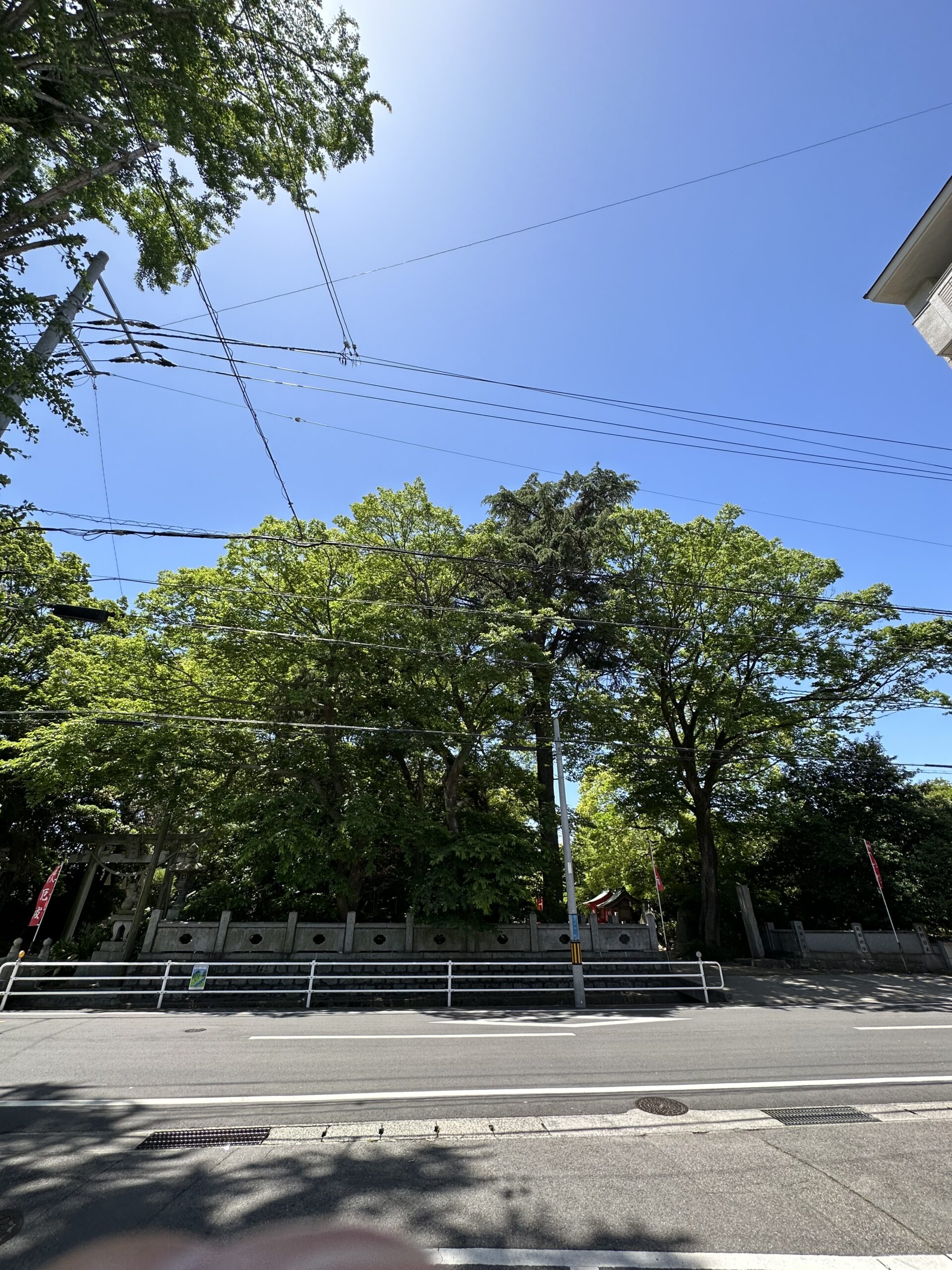 新居浜 賃貸 ﾍﾟｯﾄ飼育可 おもてなし不動産 3LDK 4LDK ﾏﾝｼｮﾝ 川西 ロケーション